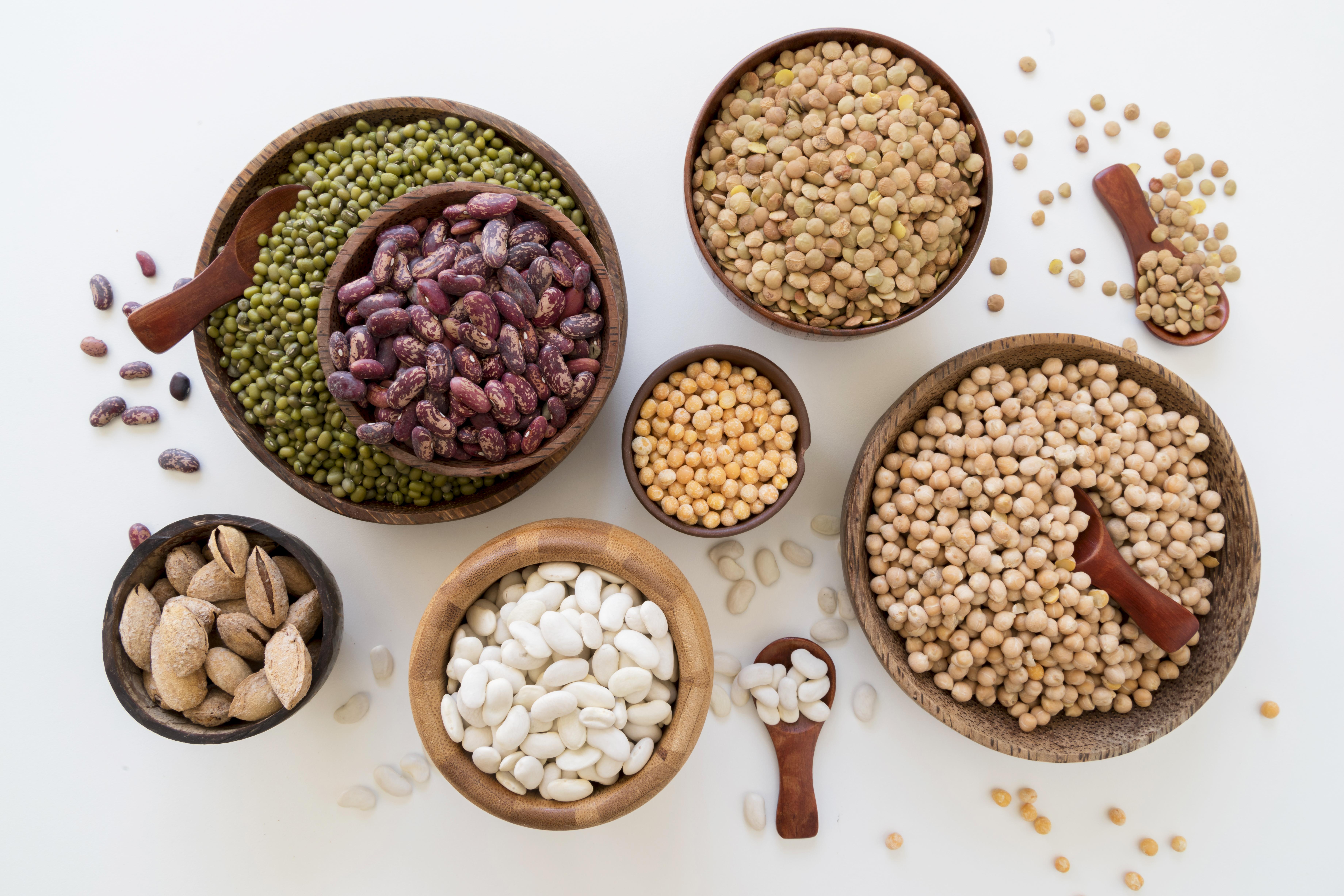 Assortment of legumes rich in plant-based protein, ideal for comparing plant-based and animal protein