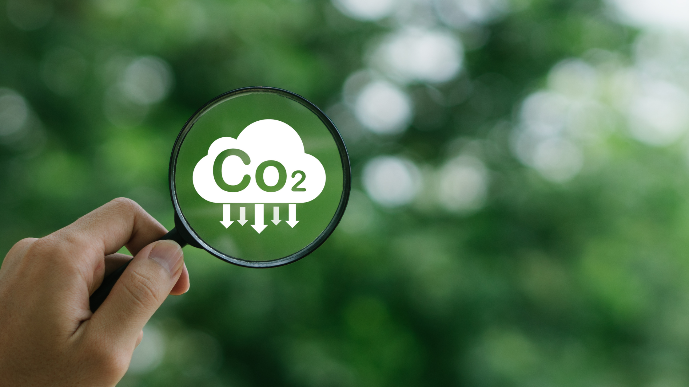 Ilustraci&oacute;n de una lupa enfocando un icono de CO₂ sobre un fondo natural, simbolizando la reducci&oacute;n de la huella de carbono